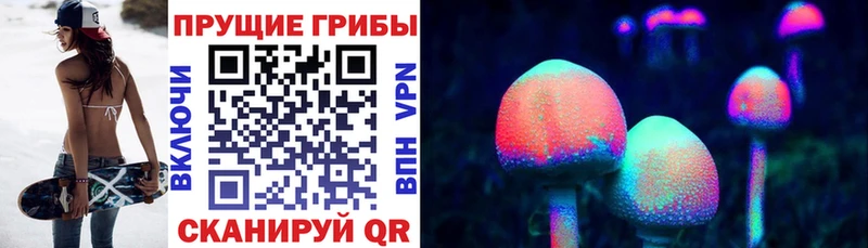 OMG tor хочу Поронайск Псилоцибиновые грибы мицелий